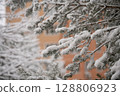 Snow covering pine tree branches in winter urban setting 128806923