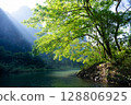 Sun rays filtering through lush foliage over tranquil river 128806925