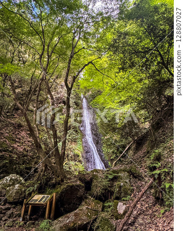 綠樹環繞的森林瀑布 | 清涼的自然風光 128807027