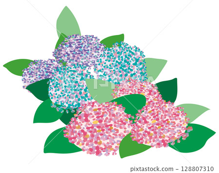  hydrangea 128807310