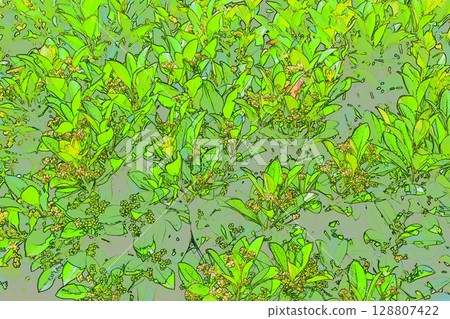 Photo illustration Photo illustration 128807422