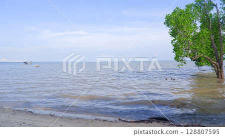 Calm Tropical Shoreline with Mangrove Tree and Distant Boats Calm Tropical Shoreline with Mangrove Tree and Distant Boats 128807595