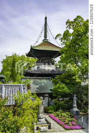 四國88所寺廟中第19座:德島縣小松島市立寺多寶塔 四國88所寺廟中第19座:德島縣小松島市立寺多寶塔 128807629