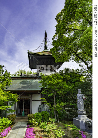 19th of the 88 Shikoku Temples: Tateji Temple, Bishamon-do Hall and Tahoto Pagoda, Komatsushima City, Tokushima Prefecture 128807683