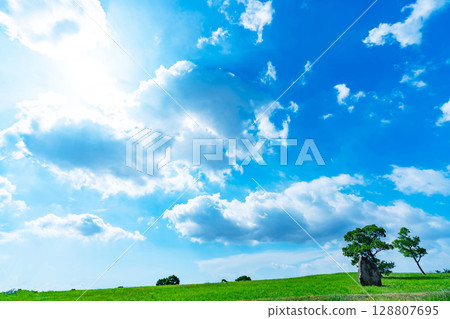 藍天、白雲、陽光、草地 128807695