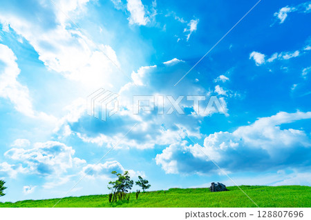 Blue sky, clouds, sun and grassland 128807696