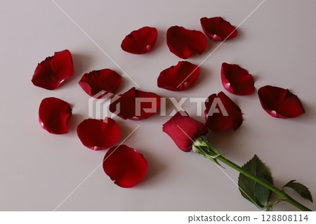 Rose petals Rose petals 128808114