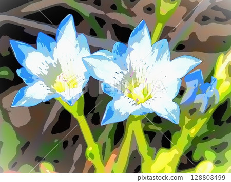 Morning gentian (afr20250718075052) Morning gentian (afr20250718075052) 128808499