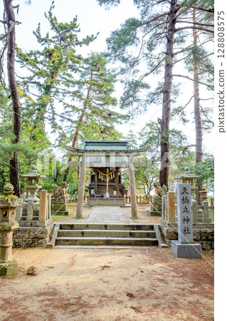京都府宮津市春天的天橋立神社 128808575