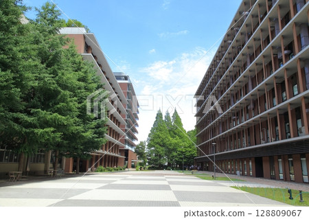 東京農業大學世田谷校區,東京 東京農業大學世田谷校區,東京 128809067