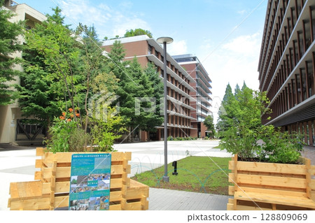 東京農業大學世田谷校區,東京 東京農業大學世田谷校區,東京 128809069
