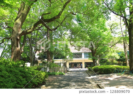 東京農業大學世田谷校區，東京 128809070