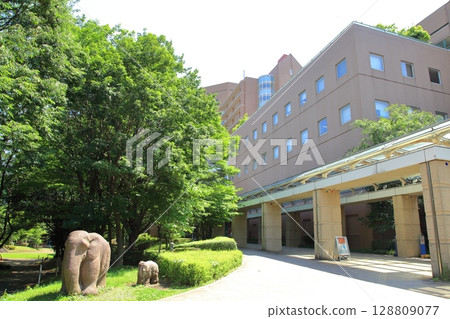 National Center for Child Health and Development, Setagaya Ward 128809077