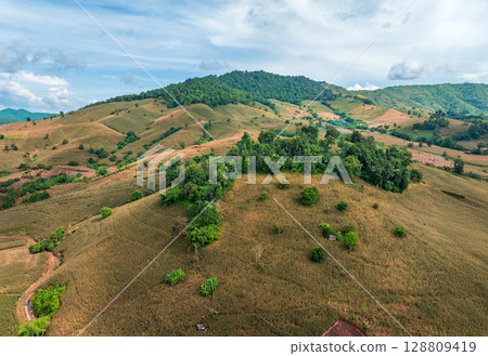 The biggest cause of forest loss is agricultural deforestation ,environmental damage in Southeast Asia , global warming and environment. 128809419