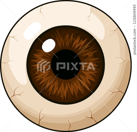 Realistic brown eyeball illustration 128809495