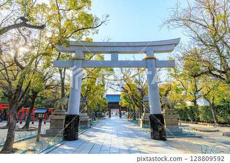 兵庫縣神戶市春天的湊川神社 128809592