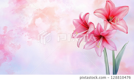 Soft watercolor amaryllises on gentle light background for wallpaper 128810476