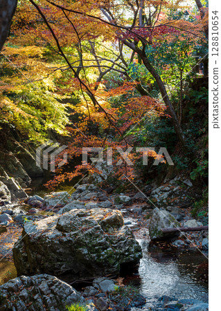 箕面公園的山谷、秋季的河流和岩石。日本大阪箕面市 箕面公園的山谷、秋季的河流和岩石。日本大阪箕面市 128810654