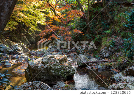 Valley in Minoh Park, river and rocks in autumn. Minoh, Osaka, Japan Valley in Minoh Park, river and rocks in autumn. Minoh, Osaka, Japan 128810655