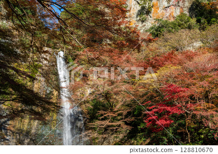 The majestic Minoh Falls framed by autumn foliage. Minoh Park, Osaka 128810670
