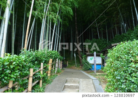 Nekoya Square, entrance to the hiking trail to the Ogikujo Castle ruins (Yokohama, Kanagawa Prefecture) Nekoya Square, entrance to the hiking trail to the Ogikujo Castle ruins (Yokohama, Kanagawa Prefecture) 128810697