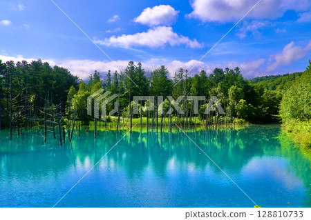 Blue Pond in early summer (Biei, Hokkaido) 128810733