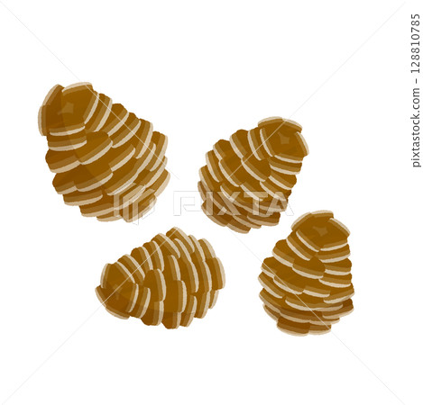 松果的插圖 128810785