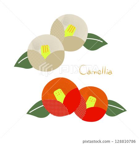 紅色和白色的山茶花插圖集 128810786