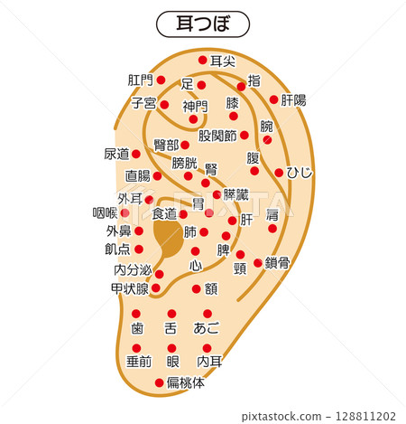 Illustrated illustration of ear acupressure points (Japanese version) 128811202