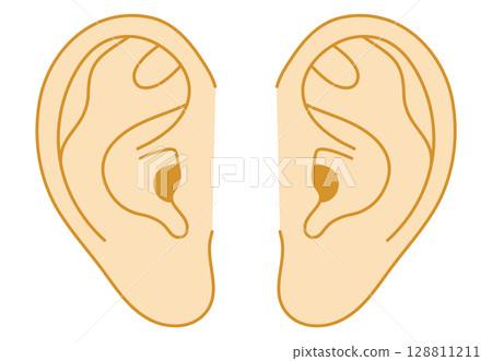 Ear vector illustration (horizontal, left and right) 128811211