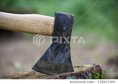 Close-Up of Axe Head Embedded in Tree Stump Outdoors 128811464