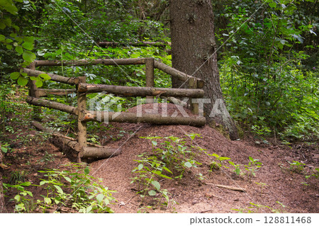 Natural Woodland Ant Hill Safeguarded by Rustic Wooden Fence Structure 128811468
