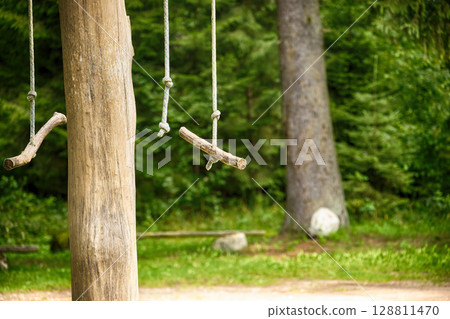 Rustic Wooden Swings Hanging on a Tree in a Forest Setting Rustic Wooden Swings Hanging on a Tree in a Forest Setting 128811470