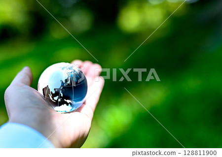 水晶球矗立在美麗的新綠色植物上 - 生態圖像 - 金屬單色 128811900