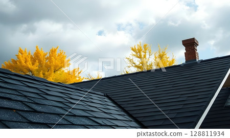 Newly Renovated Roof with Asphalt Shingles and Skylight | Modern Roofing Design. 128811934