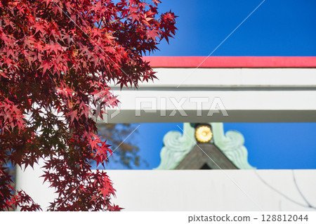 鎌倉神社美麗的鳥居和秋葉在藍天的映襯下(神奈川縣鎌倉市) 鎌倉神社美麗的鳥居和秋葉在藍天的映襯下(神奈川縣鎌倉市) 128812044