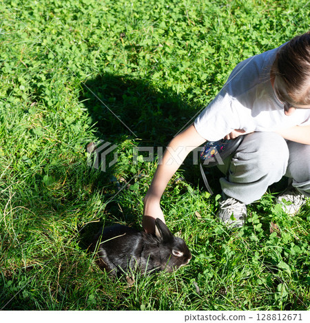 Child gently petting a black rabbit in a grassy field. A heartwarming moment of animal interaction. Child gently petting a black rabbit in a grassy field. A heartwarming moment of animal interaction. 128812671