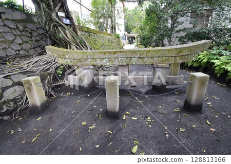 Torii gate buried in volcanic ash (Kurokami Buried Torii Gate, Sakurajima) 128813166