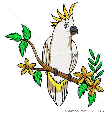 Cartoon cockatoo bird sitting on a tree branch Cartoon cockatoo bird sitting on a tree branch 128813179
