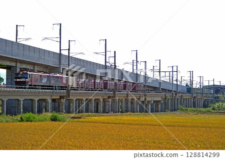 津輕海峽線、知內木古內、JR Freight、EH500-8(仙台) 津輕海峽線、知內木古內、JR Freight、EH500-8(仙台) 128814299