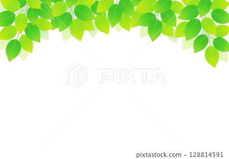 Fresh green leaves on background material illustration 128814591