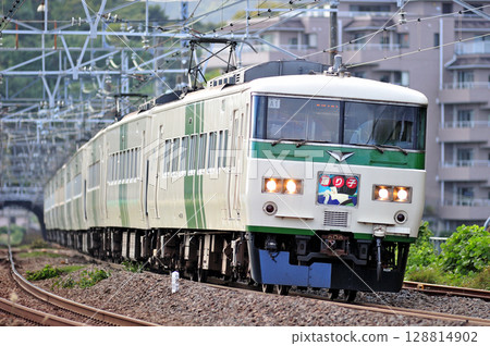 Tokaido Line, Manzuru, JR East, 185 series, A1 formation (Omiya), Odoriko 128814902