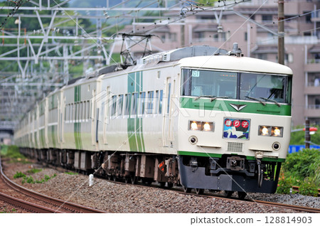 東海道線、滿鶴、JR東日本、185系、C1編組（大宮）、大通子 128814903