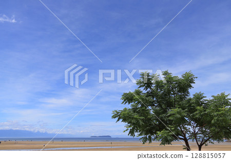 View of Ibukijima, an island of dried sardines floating in the Hiuchi Nada Sea, from the shade of the trees at Chichigahama Beach 128815057