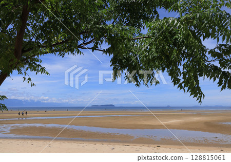 從父濱海灘的樹蔭下望去,伊吹島是一座漂浮在火內灘上的沙丁魚乾島 從父濱海灘的樹蔭下望去,伊吹島是一座漂浮在火內灘上的沙丁魚乾島 128815061