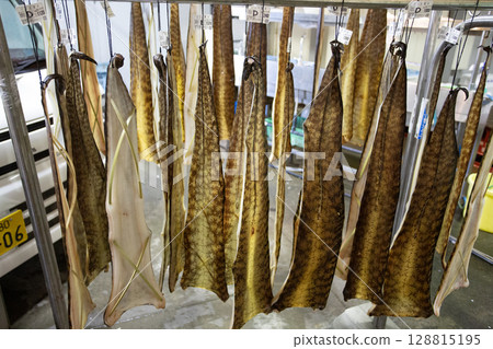 dried utsubo, a japanese moray eel, are on sale in Tore Tore market. 128815195
