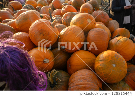 Close-up of assorted pumpkins in outdoor autumn market 128815444