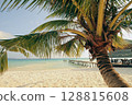 A tropical beach scene with a coconut tree and a pier extending into the clear ocean under a sunny sky,  in Koh Rong Sanloem, Sihanoukville, Cambodia 128815608