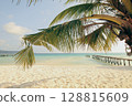 A tropical beach with a coconut tree framing a view of white sand beach and a wooden pier reaching into the blue ocean in Koh Rong Sanloem, Sihanoukville, Cambodia 128815609
