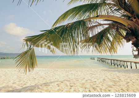 A tropical beach with a coconut tree framing a view of white sand beach and a wooden pier reaching into the blue ocean in Koh Rong Sanloem, Sihanoukville, Cambodia 128815609